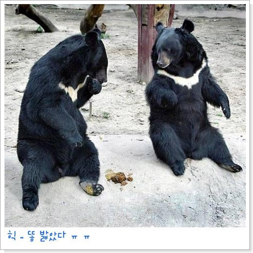 힉 이미지