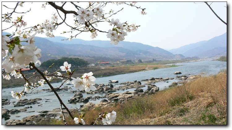 사랑과평화의샘